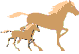 horse tack